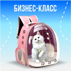 Бизнес-класс