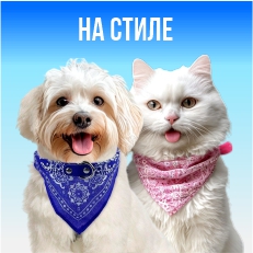 На стиле